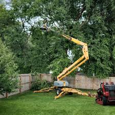 Best Lot and Land Clearing  in Highland, CA