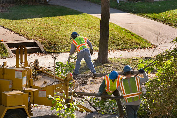 Best Landscape Design and Installation  in Highland, CA